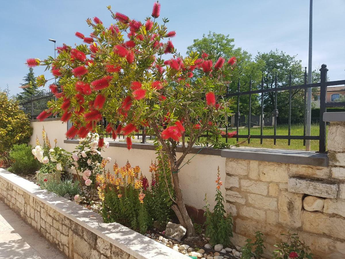 Rooms Siesta Porec Ngoại thất bức ảnh